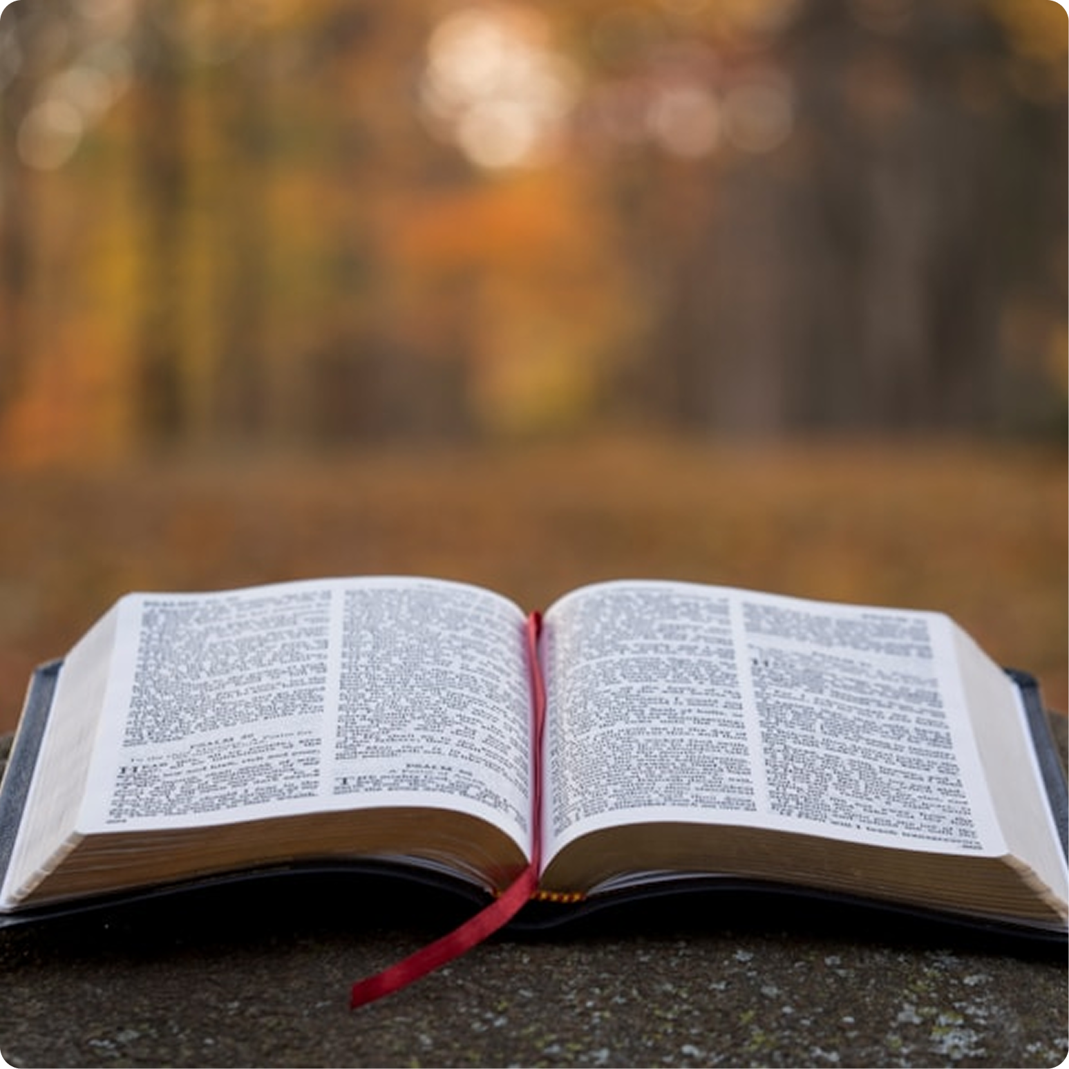 Conseil pastoral